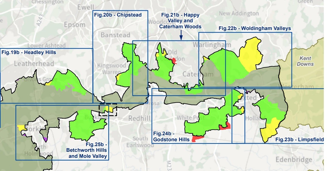 Surrey H